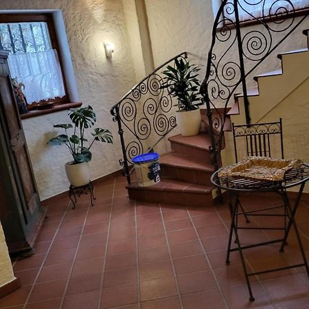 Haus Marianne Leilighet Hof bei Salzburg Eksteriør bilde