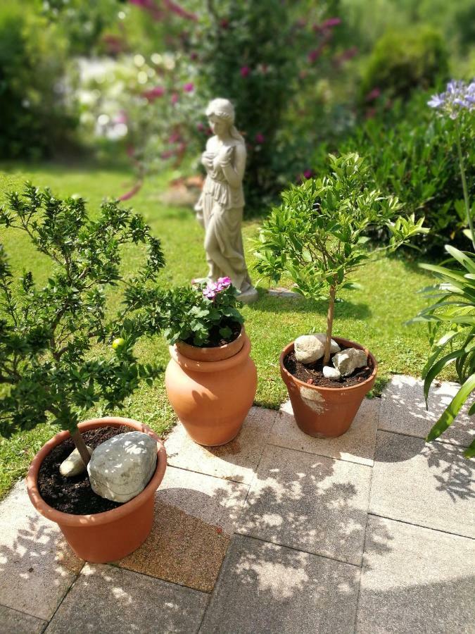 Haus Marianne Leilighet Hof bei Salzburg Eksteriør bilde